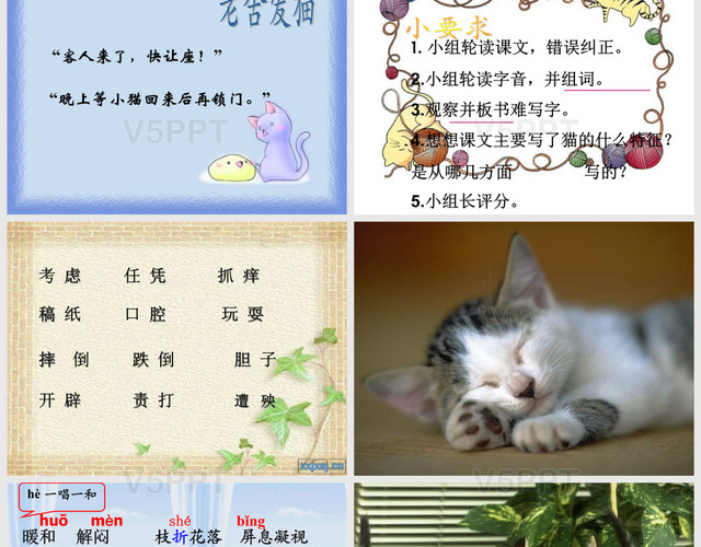 猫老舍公开课课件1