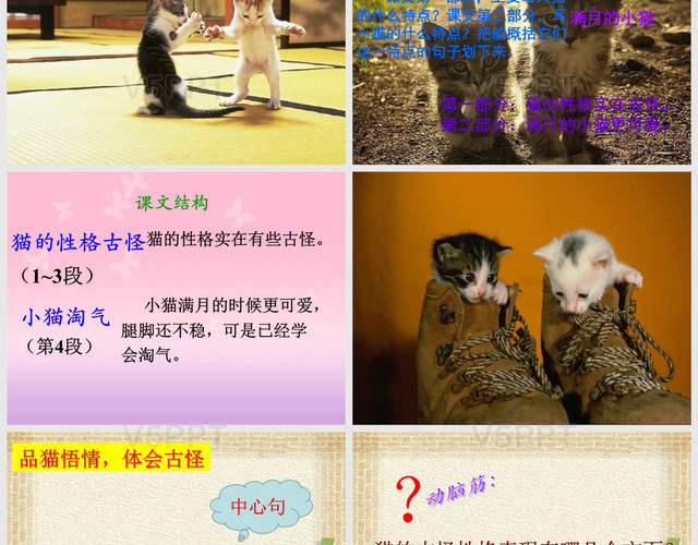 猫老舍公开课课件1