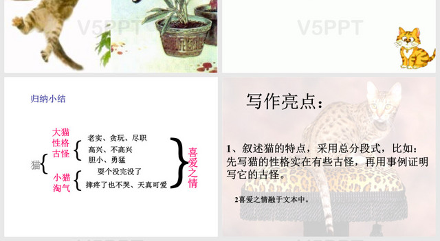 老舍猫ppt