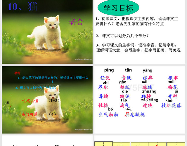 老舍猫ppt