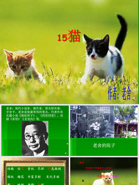 老舍猫ppt