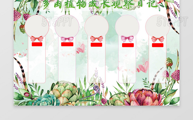 多肉植物成长观察日记小报word电子小抄报边框花边