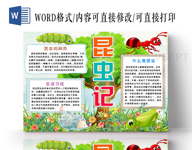 炫彩活泼卡通儿童风昆虫记读书手抄报psd模板