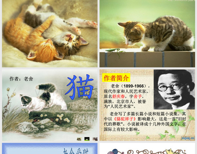 赞芽提供《猫》老舍(公开课课件) (1)免费下载,当前作品类型是ppt模板